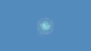 Snow Globe