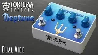 Tortuga Effects: Neptune