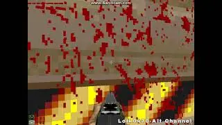 ULTRA BRUTAL DOOM (conservatie.pk3 mod from brutal doom mods i think)