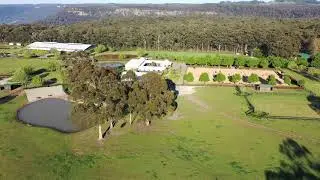 Wallaby Hill Oct 2019