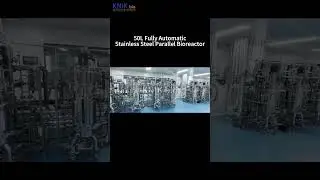 50L Fully Automatic Parallel Bioreactor for Industrial Precision | KNIKbio