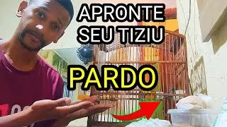 COMO FAZER CANTAR O TIZIU PARDO | COMO APRONTAR TIZIU PARDO| MANEJO PARA TIZIU PARDO