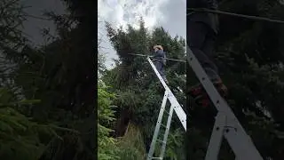 Gardena Teleskop Hochentaster, Pole Pruner, 8 Meter H&ouml;he, Schnell H&ouml;chste &Auml;ste Schneiden &S&auml;gen, DIY
