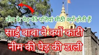 साईं बाबा ने अपने नीम के पेड़ की डाली क्यों तोड़ी Baba's mystery about neem tree