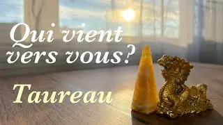 Taureau - Qui vient vers vous? - Février 2026 - Tirage de tarot