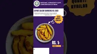 🌟 Salem Turmeric: India&rsquo;s Golden Spice Exported Worldwide! | High Curcumin | Bulk Orders Only