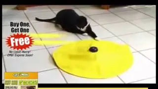 Cats Meow Toy Review ! Cats Meow Toy Review ! Yours Cats Says WOW Not Moew !