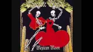 Mexican Moon (CONCRETE BLONDE acoustic cover) - MR. MOODY HYADD