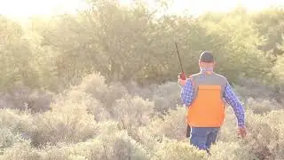 Dove Season 2022