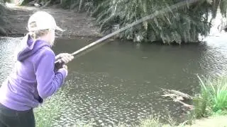 Carp Management - Final Edit