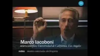 Neuronas espejo. Marco Iacoboni.