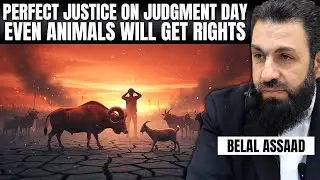 Belal Assaad | Perfect Justice on Judgment Day - Even Animals Will Get Rights