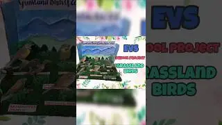 Bird sanctuary school project | Easy EVS project model | Grassland birds model #school #viralvideo