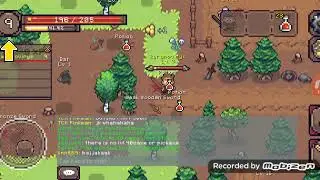 Прохождение 2d mmorpg 1 часть