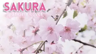 Japan Trip ❀ SAKURA ❀ Spanish Cover *Acoustic*