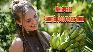 ASMR whispered TOUR at Sow Exotic rare fruiting & medicinal plant nursery!🥑🍌🍊🍍🍇🥭