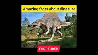 Amazing facts about  dinasuar 🦕🦕 l #shorts  #facttuber