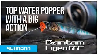 BANTAM LIGEN 66F FB | A a top water popper with a big action