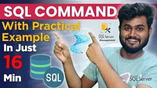 Introduction to SQL Commands: DDL, DML, DCL, DQL & TCL with Examples