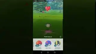 Tympole 100 IV