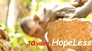 Baby Monkey Exhausted Poor Jayden| Jade Mother Drag Baby Jayden Up Cry Loudly| Newborn Babies Monkey