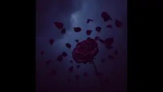 Storm of Roses by Aura