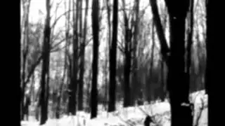 Moloch - 