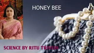 #Keep learning 🇮🇳#Science #Honey#Honey bee#Environment