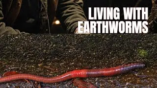 I Spent 50 Days Underground With Earthworms