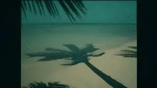 Egesh - Şezlong Güneşim