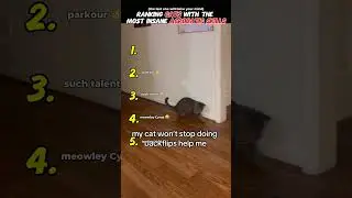 Ranking Cats With The Most Insane Acrobatic Skills