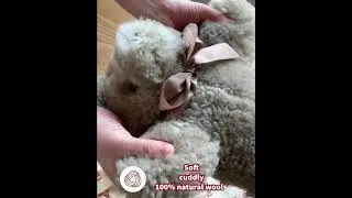Intro  Tambo Teddies 1