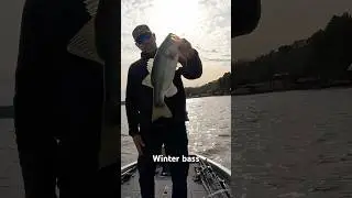 First bigger fish on Lake Nacodoches using a Rapala DT-6.  #bass