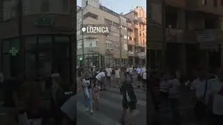 Loznica
