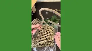 Reptile Enrichment Kit Unboxing &ndash; kathson Tank Decor Bundle #reptiles #beardeddragon #snake