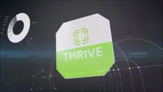 Level thrive DFT Patch info