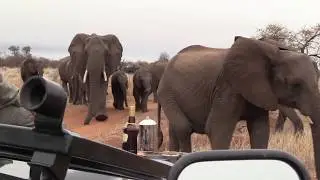 Safari moments - Rockfig Safari Lodge