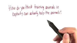 Captive animals - Intro to Psychology