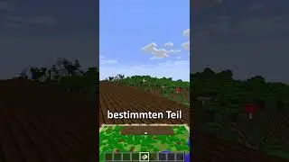 WENN man DIE GANZE Minecraft MAP erkunden w&uuml;rde... #toobad #minecraftshorts #lustig