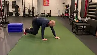 In Place Bear Crawl - Tailored Strength