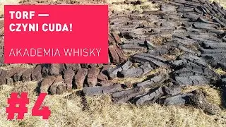 Torf czyni cuda - Akademia Whisky