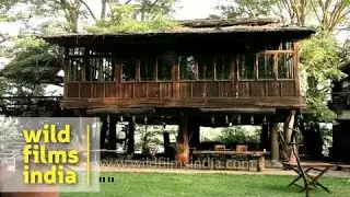Dining hall tree house : Ken River Lodge, Panna National Park