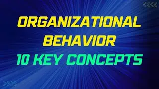 10 Organizational Behavior Concepts You Should Know