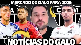 TANAKA TRAZ NOTÍCIAS DE MERCADO DO GALO | REFORÇOS CHEGANDO | NEGOCIO ENCAMINHADO | NOTÍCIAS DO GALO