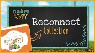 Reconnect Kit from Young Living