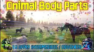 🐢Animal Body Parts🐢, 🪈Folk Song🪈;  B2, C1 Upper Intermediate
