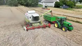 Żniwa 2025 | Claas Medion 340 w pszenicy |