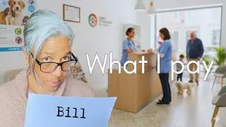 Cost of Living in Portugal Pt3 | Vet bills
