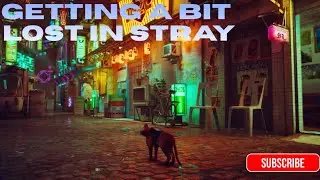 GETTING A BIT LOST IN STRAY (2022) | PLAYSTATION 5