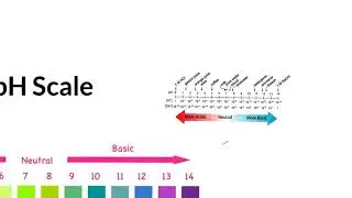 understanding pH pOH scale